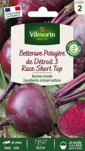 Betterave Potagère Détroit 3 race Short Top